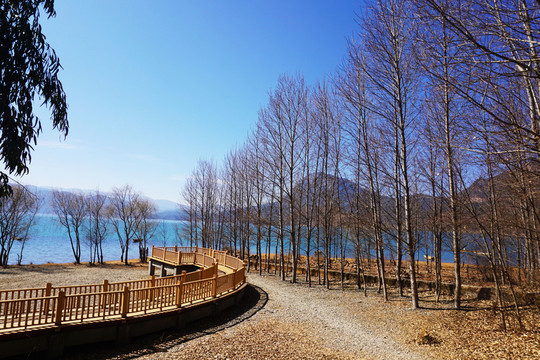 瀘沽湖