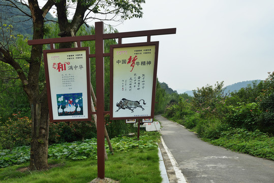 小道 宣傳牌 牌子