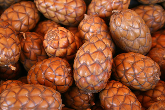 POD
