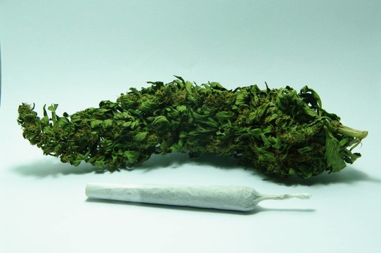 大麻花聯(lián)合