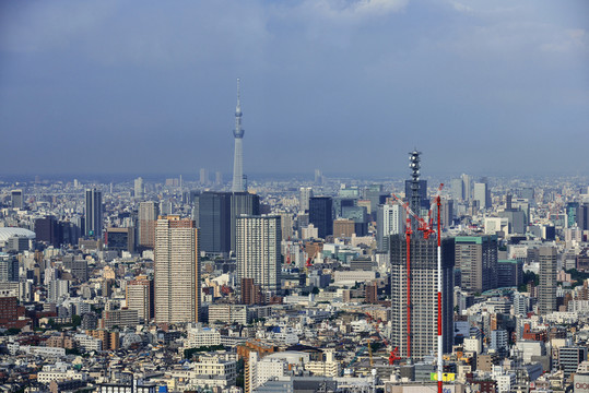 東京