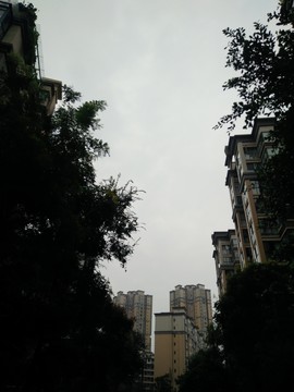 園林綠化