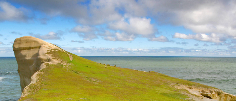 dunedin2