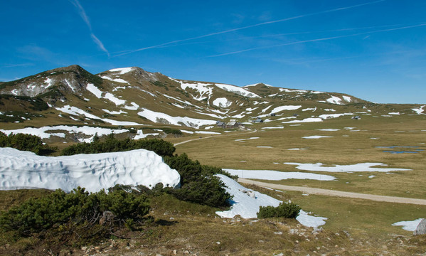 山