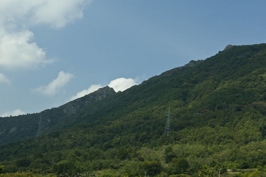 藝術(shù)