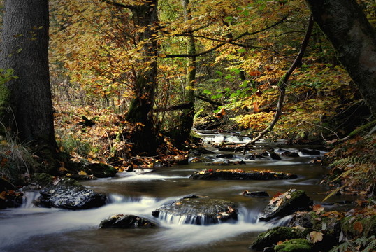 Wüstebach