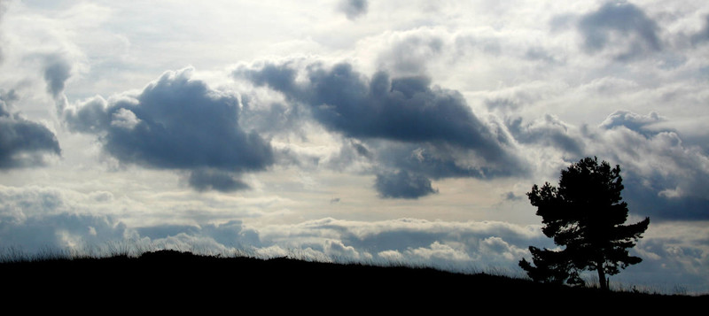 wolkenmeer