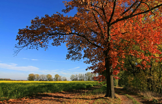 herbstwanderung