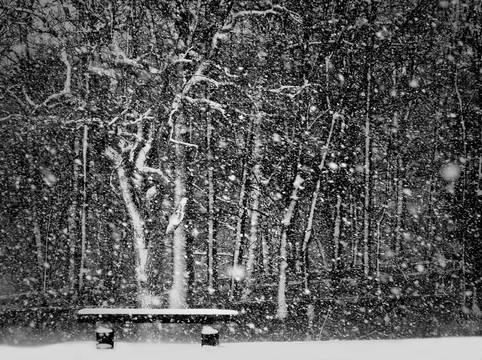 暴風雪