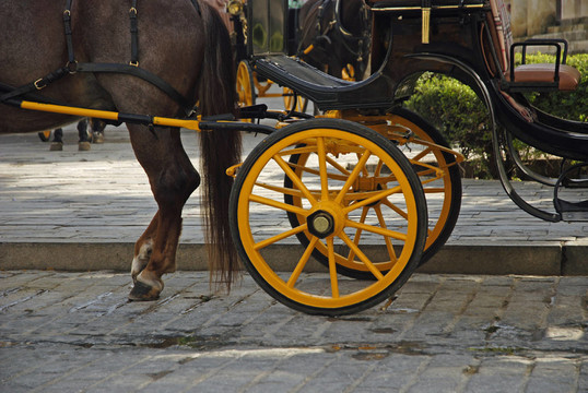 馬和馬車