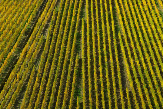 Fürstenberg -福斯滕伯格04
