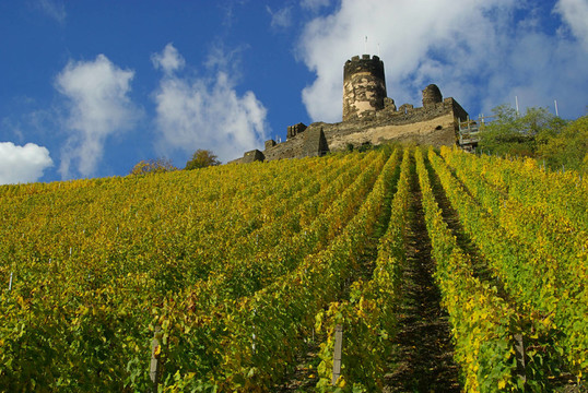 Fürstenberg -福斯滕伯格08