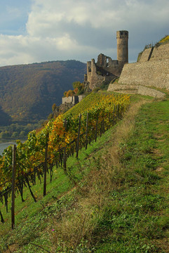 ehrenfels 03