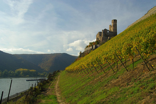 ehrenfels 12