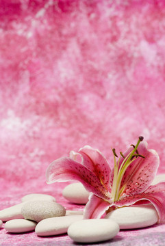 花卉
