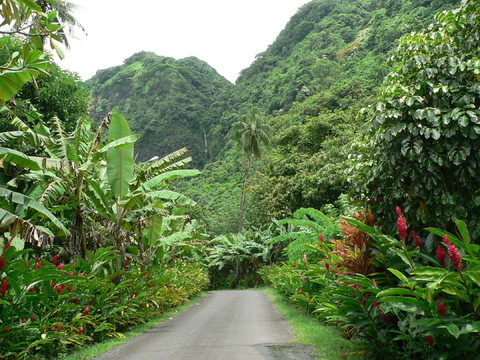 塔希提內(nèi)陸
