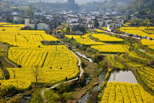 婺源古村