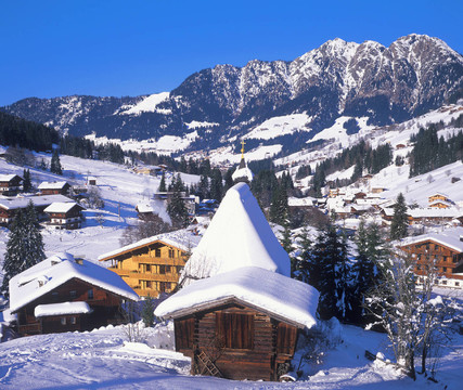 在阿爾卑巴赫inneralpbach