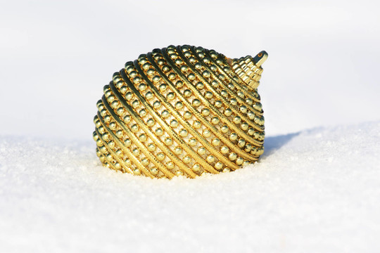雪中的圣誕舞會2
