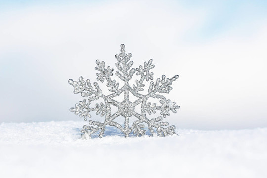 雪花在雪中