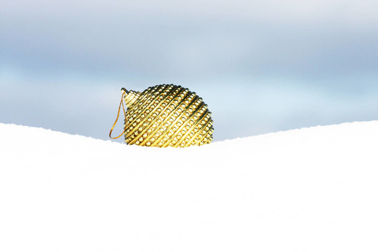 玩具在雪