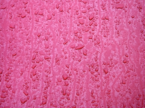 雨