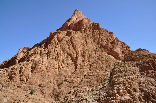 山