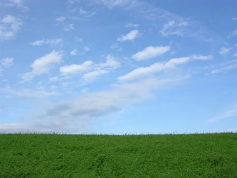 場(chǎng)