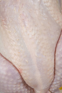 皮膚