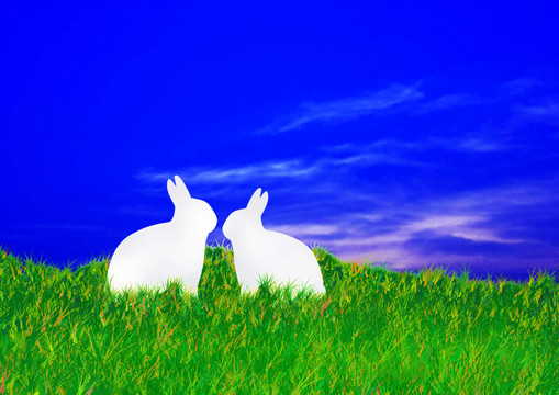 hasenliebe