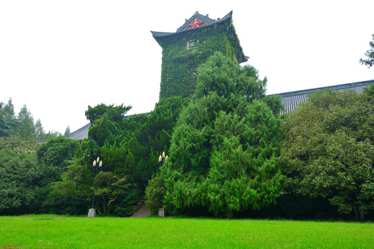 南京大學