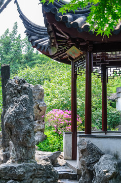 拙政園園景