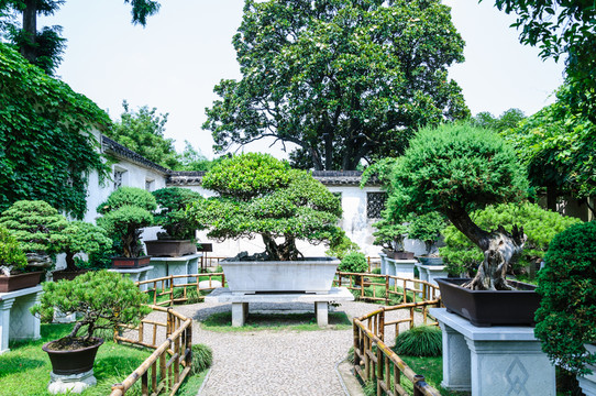 盆景園
