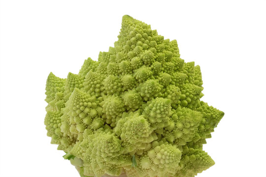 蔬菜
