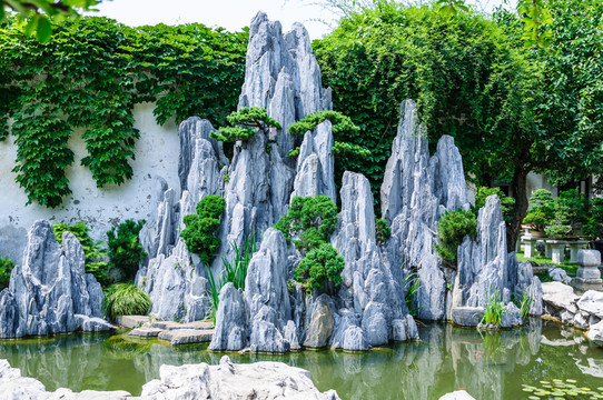 盆景