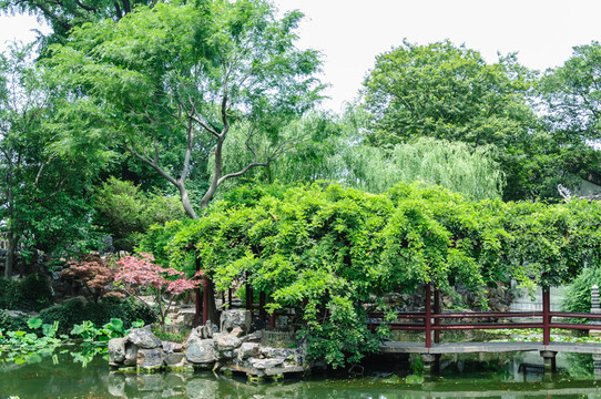 拙政園園景