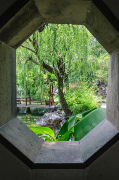 拙政園窗景