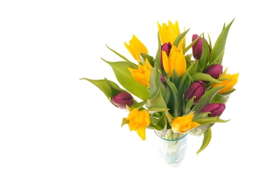 tulpenstrau？
