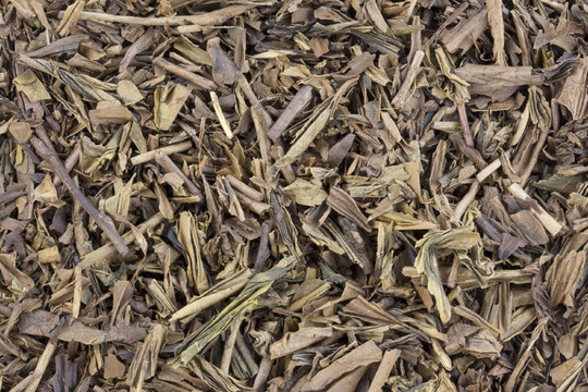 茶