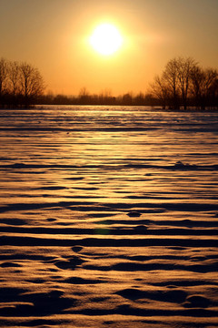 wintersonne