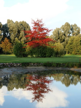 公園在十月