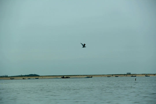 海