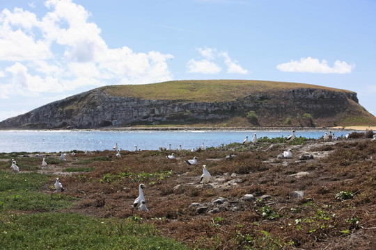 旅游