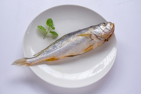 黃花魚