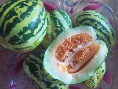 甜瓜 水果 瓜果
