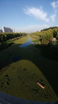 綠色河流