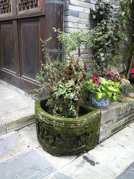 花盆小景