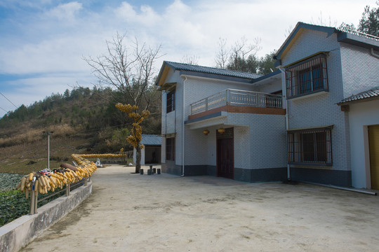 新農(nóng)村建設(shè)