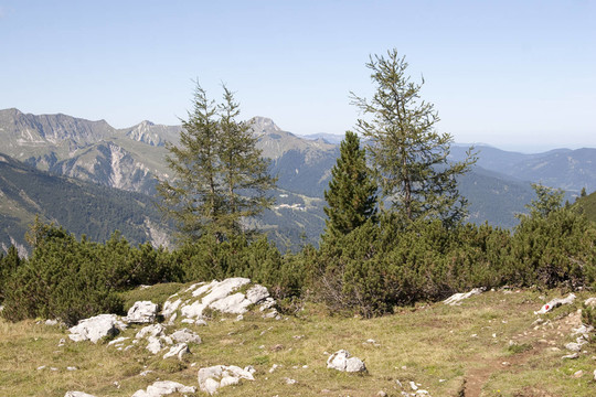 kotalm 1