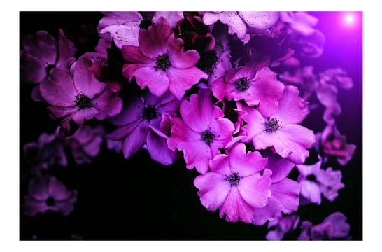 花